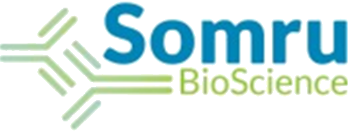 Somru